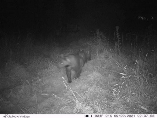 05 - IMG-20220102-201400-1.jpg