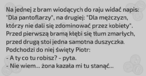 zarcik.png
