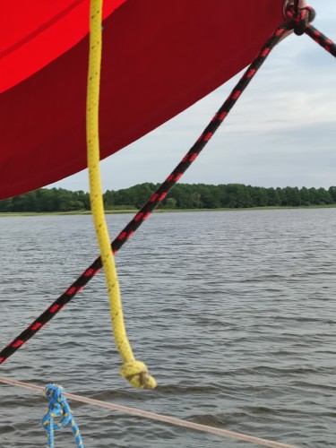 Przylądek sandacza...caly zarośnięty