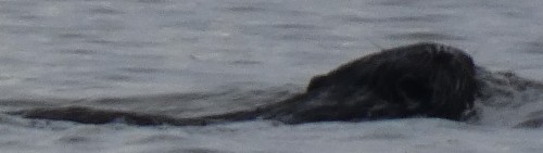 Zrzut ekranu 2024-04-25 093421.jpg