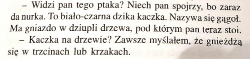 gągoł.jpg