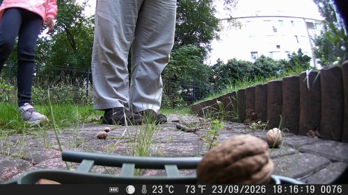 d.jpg