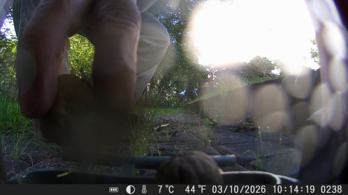h.jpg