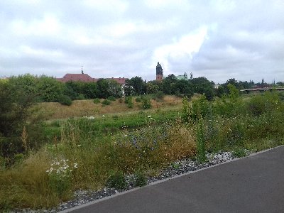 20180625_092724.jpg