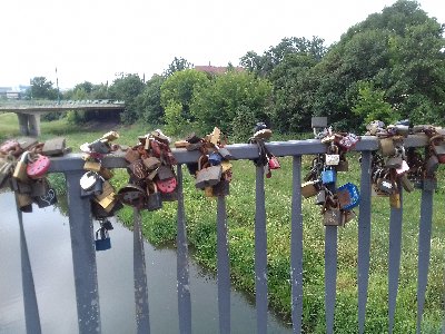 20180625_093644.jpg