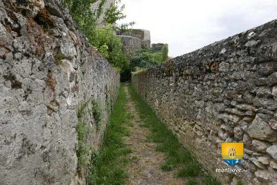 chemin-mur.JPG