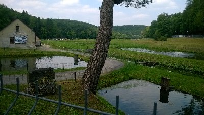 WP_20170809_035.jpg