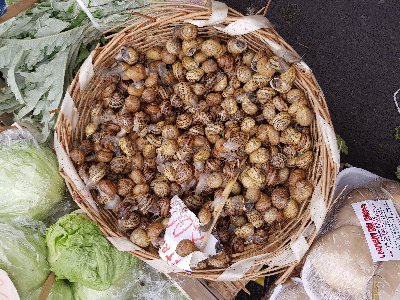 Jeszcze żywe ślimaki&amp;#128521;TomaszKu niestety jeszcze nie miałem okazji posmakować