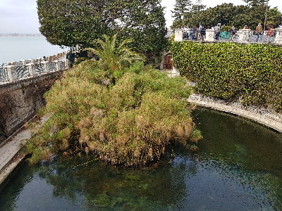 ¬ródło Aretuzy i oczywiście papirus