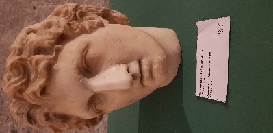 Aleksander Wielki, Muzeum Miejskie w Katanii