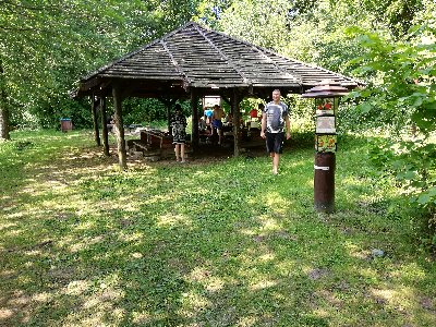 IMG_20190713_145929.jpg