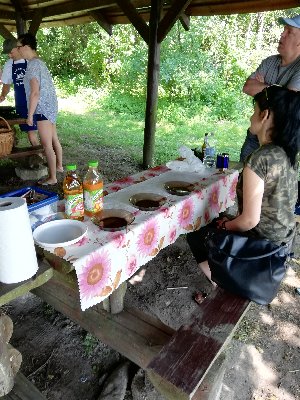 IMG_20190713_153841.jpg