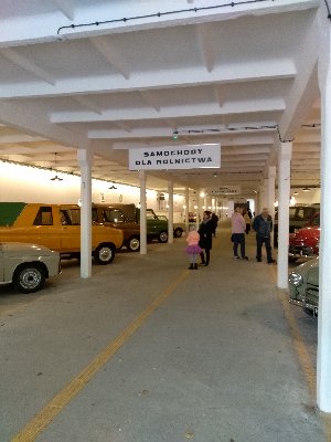 IMG_20191006_132856.jpg