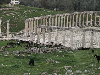 Jerash.jpg