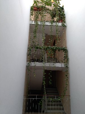 IMG_20200417_162444.jpg