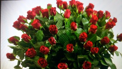 IMG-20170214-WA0001.jpg