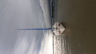 20200619_161118.jpg (822.5 KiB) Przejrzano 4388 razy 20200619_161118.jpg