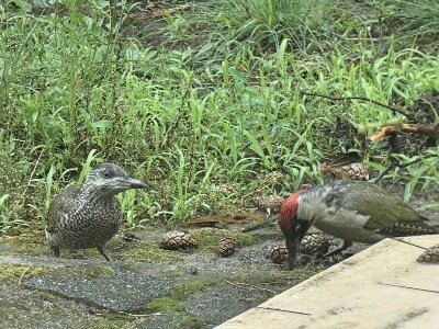 EbR0j9HXYAEniSE.jpg