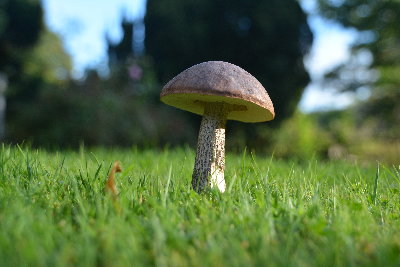DSC_0046.JPG