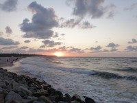 IMG_20210718_205418.jpg