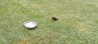 IMG20210725173950.jpg
