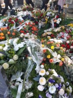 20210903_125725 (Średni).jpg